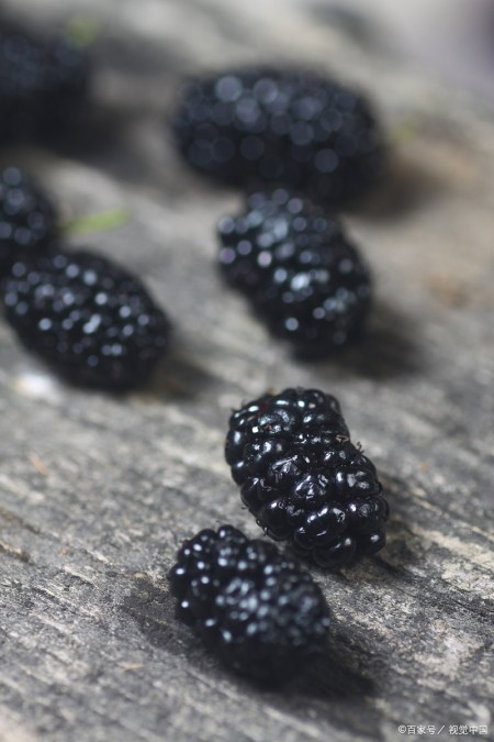 桑葚这样做，才能正确发挥其功效（桑葚怎么吃最好有效果减肥）