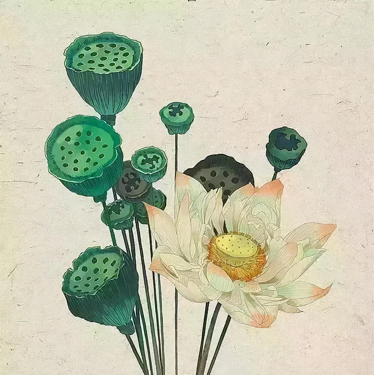 48个搞笑脑筋急转弯，你能答对多少？-经典搞笑脑筋急转弯3600题