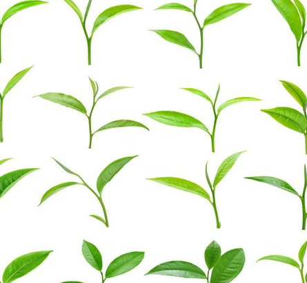 顺口溜念二十四节气表，在这里快快收藏（二十四节气表顺口溜解释）