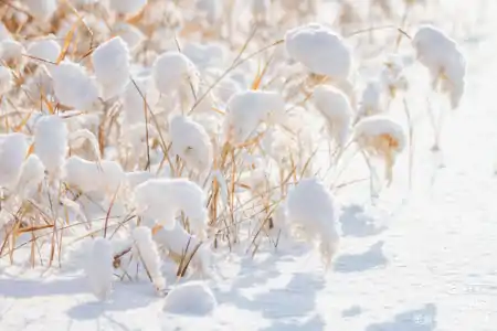 深藏在二十四节气歌里，鲜为人知的故事！（二十四节气歌及古诗带拼音）