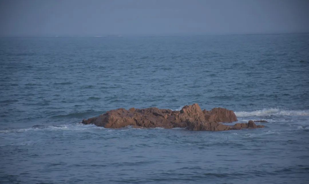 山鸟与鱼不同路-山鸟与鱼不同路,再见容易再见难