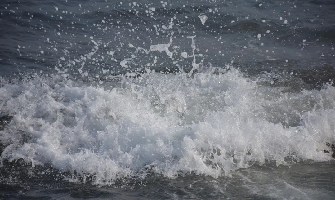 山鸟与鱼不同路-山鸟与鱼不同路,再见容易再见难