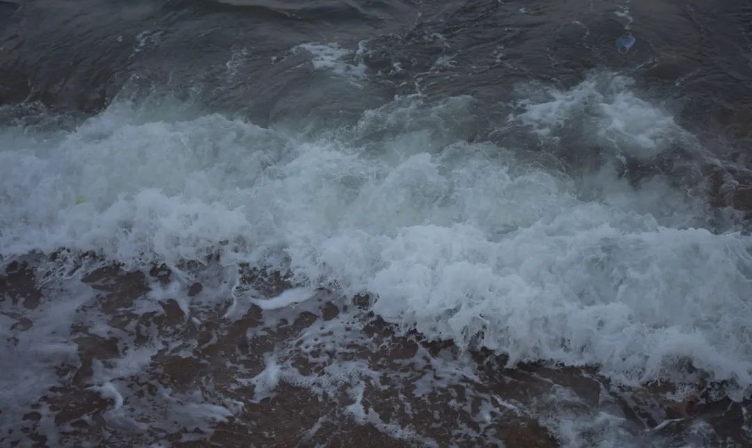 山鸟与鱼不同路-山鸟与鱼不同路,再见容易再见难