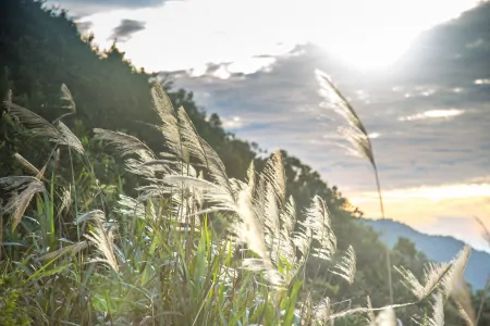 摩羯座容易动心，但走不到一起的星座-摩羯座容易动心,但走不到一起的星座