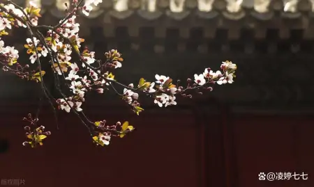 摩羯座：敢将十指夸针巧，不把双眉斗画长，高格调，俭梳妆-敢将十指夸针巧 不把双眉斗画长的意思