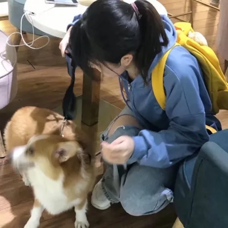 你是耐看型美女还是惊艳型美女，主要看这几个特征，你有吗？-耐看型和惊艳型哪个更好看一些