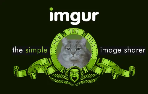 你有哪些惊艳绝色的美女手机壁纸？-美女手机壁纸高清抖音