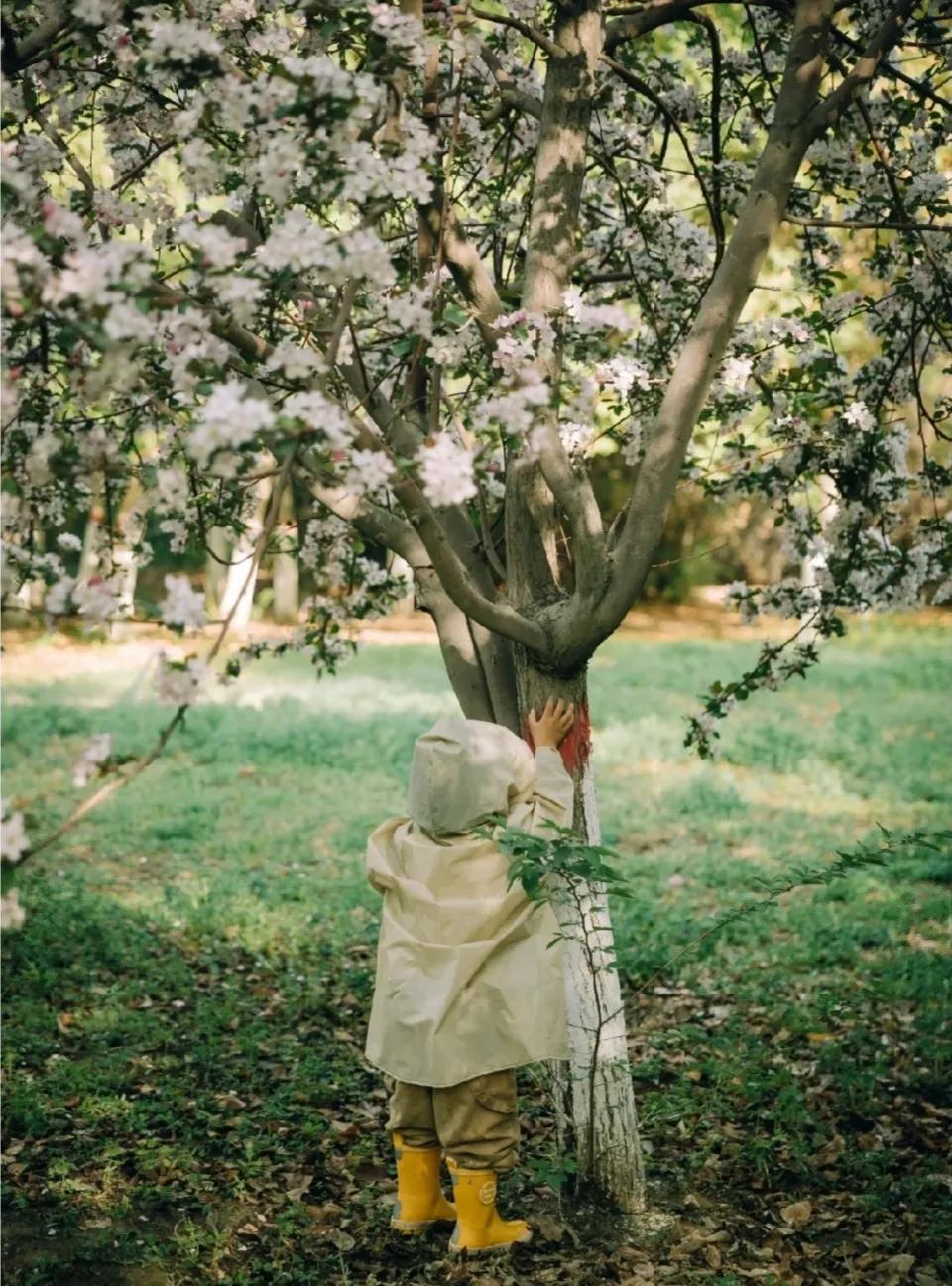 父母写给孩子的六一儿童节寄语-父母给孩子六一儿童节的祝福语