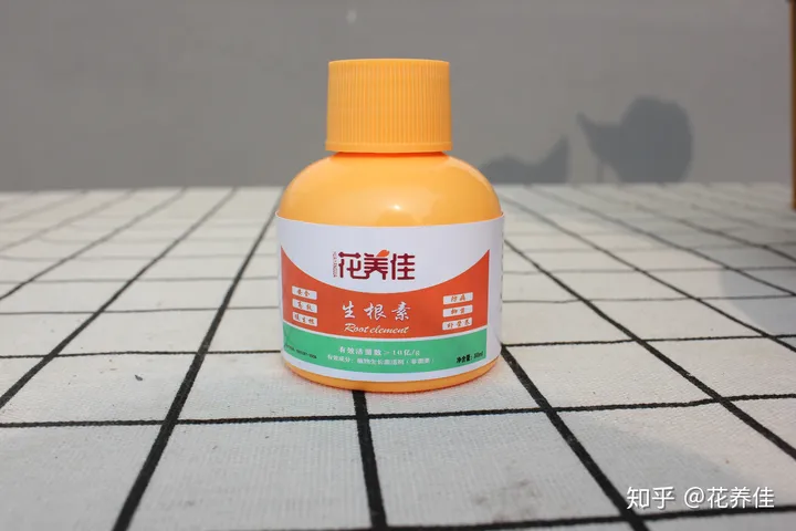 茉莉花的家庭养殖方式及注意事项（茉莉花的家庭种植）