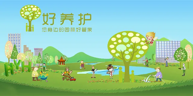 茉莉花养护做到四点，花香洁白，香味浓厚！（茉莉花养护常识）