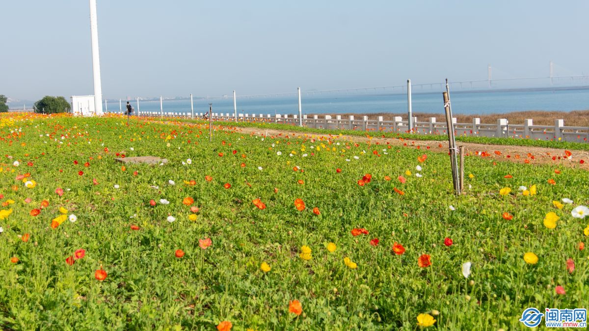 六一给孩子的祝福寄语 2022最新六一儿童节家长寄语送给孩子的六一祝福语-六一儿童节给孩子美好的寄语