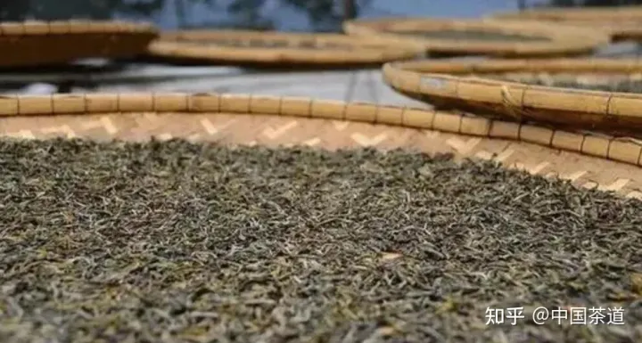 普洱生茶与熟茶，究竟有什么区别❓（普洱生茶与熟茶,究竟有什么区别）