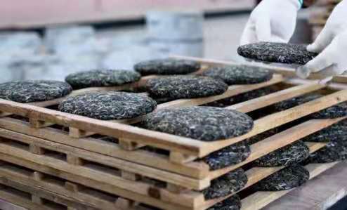 普洱生茶与普洱熟茶有什么区别？（普洱生茶和普洱熟茶各有什么作用）