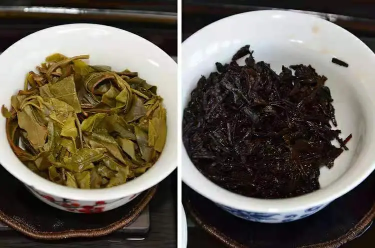 普洱生茶与普洱熟茶有什么区别？（普洱生茶和普洱熟茶各有什么作用）