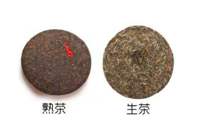 生普洱和熟普洱有什么区别？3招教你鉴别（什么茶适合女性长期饮用）