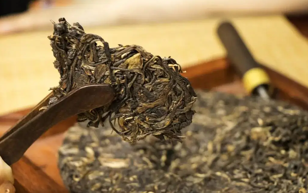 生普洱和熟普洱有什么区别？3招教你鉴别（什么茶适合女性长期饮用）
