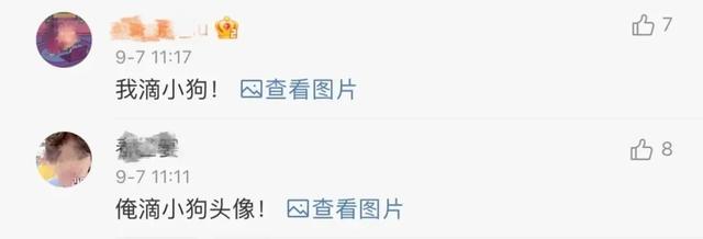 微信头像，还有这么个功能-微信头像新功能怎么用不了