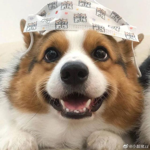 微信头像，还有这么个功能-微信头像新功能怎么用不了