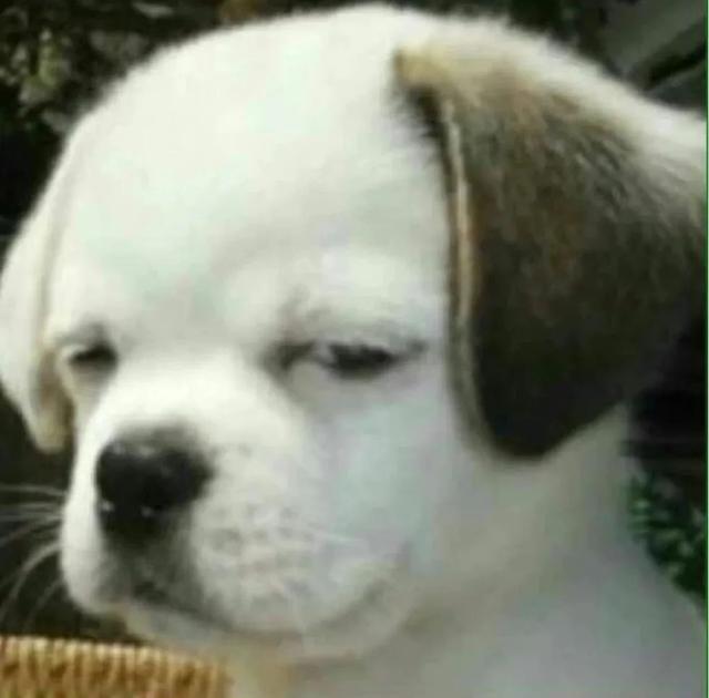 微信头像，还有这么个功能-微信头像新功能怎么用不了