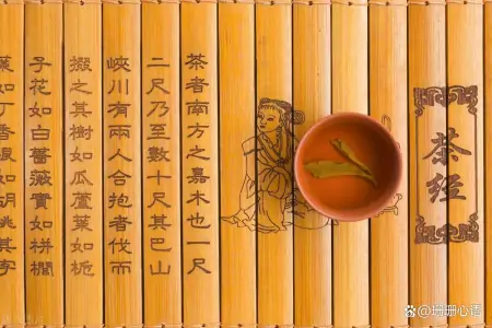 熟茶和生茶口味有什么区别？（熟茶和生茶有啥区别）