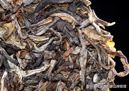 老生普洱茶的口感怎么样？口感丰富、醇厚柔和（老生普的特点）