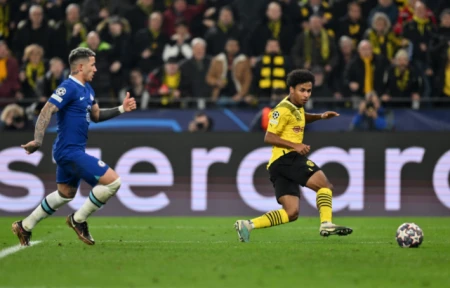 多特神锋闪耀欧洲！哈兰德助曼城登顶英超，妖星助大黄蜂剑指八强（哈兰德转会多特蒙德转会费多少）