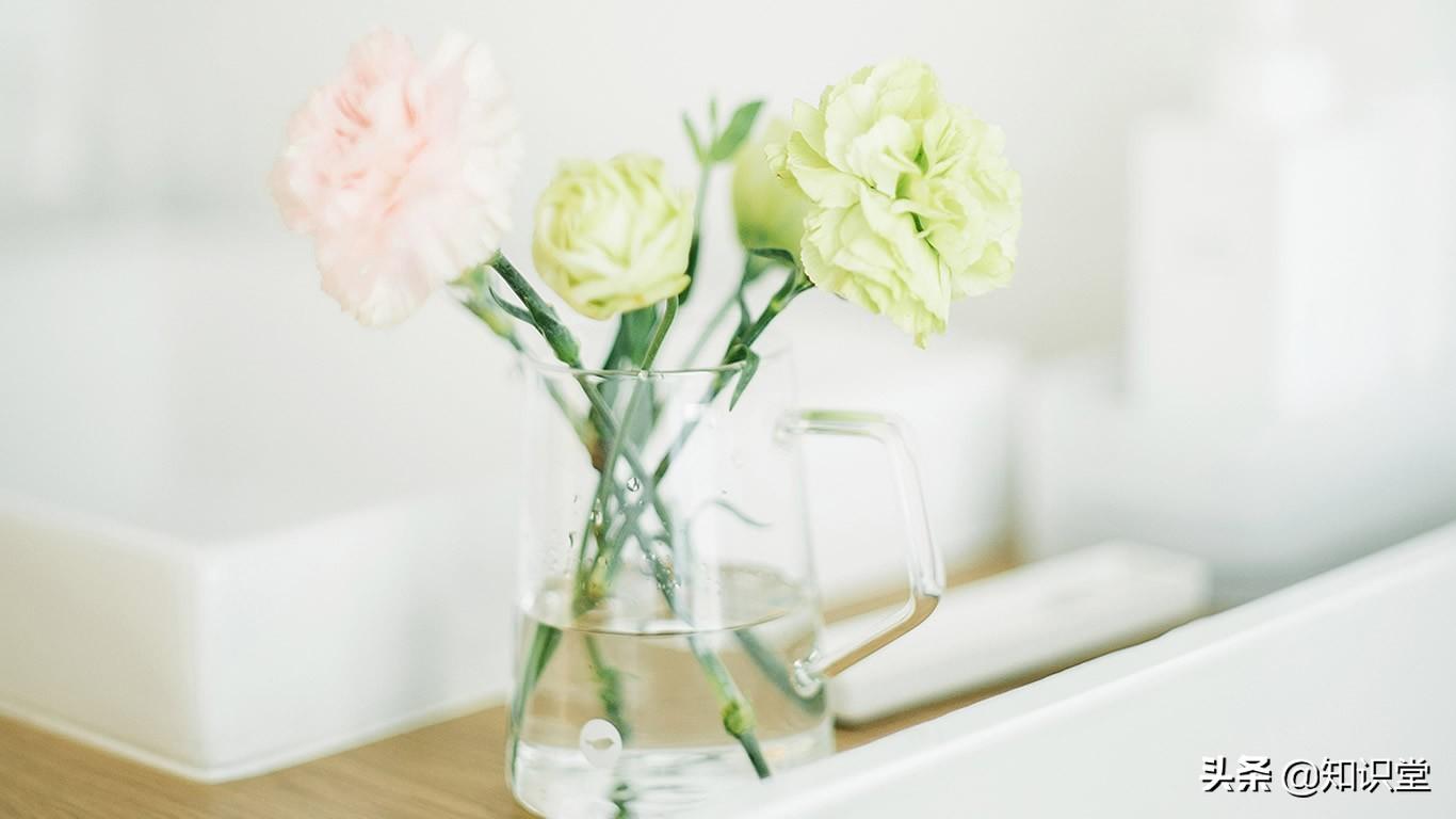 精选10条生日祝福语，送给朋友的生日祝福短信（生日祝福语 给朋友）