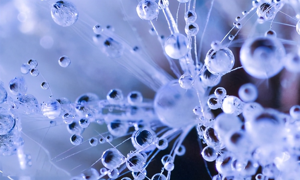 小雪养生祝福语句子说说（小雪养生原则）