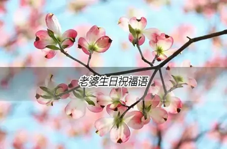 老婆生日祝福语大全（老婆生日祝福语简短精辟相守十年的句子）