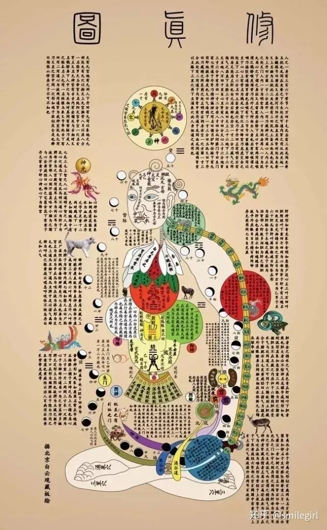 二十四节气-芒种（24节气芒种课件）