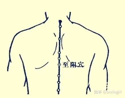 二十四节气-芒种（24节气芒种课件）