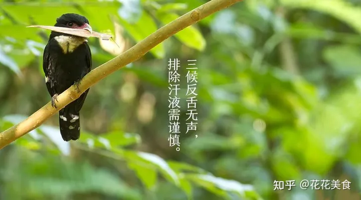 【二十四节气·芒种】泽草所生，种之芒种（泽草所生种之芒种怎么读拼音）