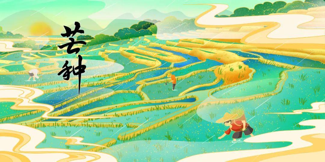 节气 | 芒种（节气芒种是什么意思）