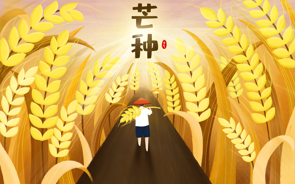 节气 | 芒种（节气芒种是什么意思）