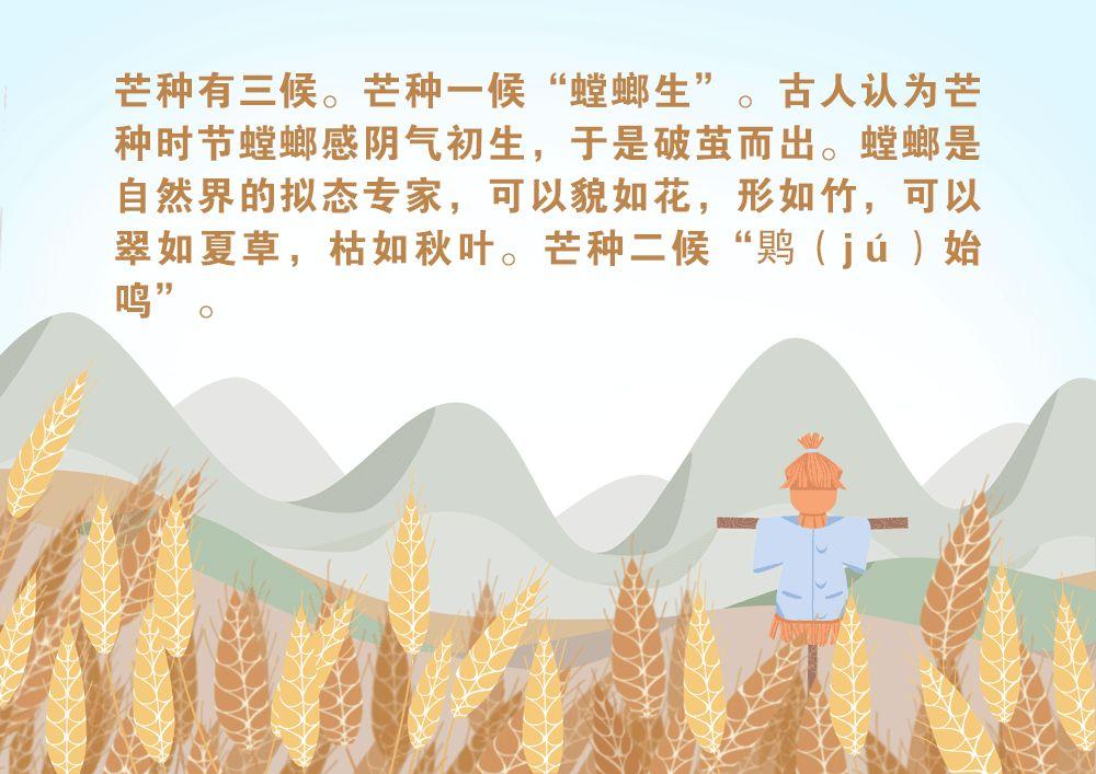 节气 | 芒种（节气芒种是什么意思）