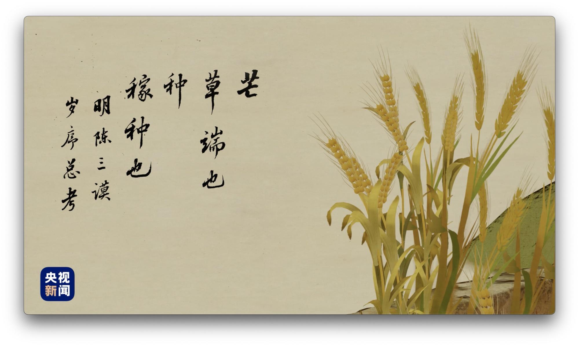 人间好时节丨芒种（人间好时节阅读）