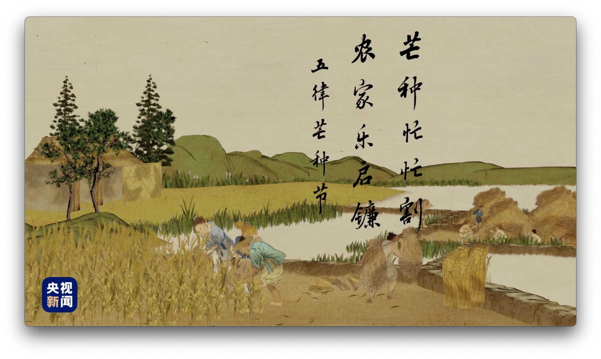 人间好时节丨芒种（人间好时节阅读）