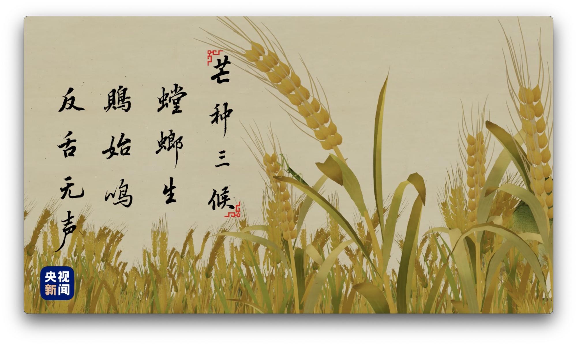 人间好时节丨芒种（人间好时节阅读）