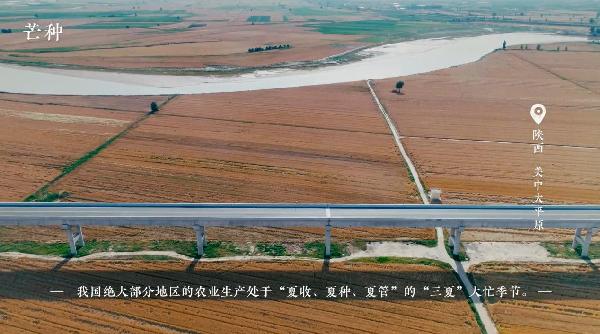 芒种忙种，结于丰盈，种于希望（芒种 播种希望）