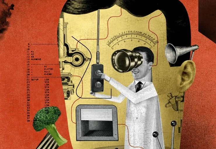 基因的惊人力量：我们为何爱我所爱（基因也很重要）