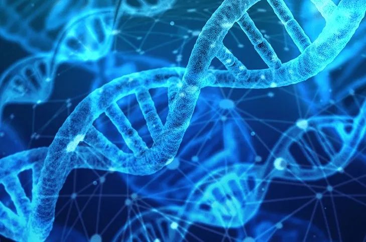 基因的惊人力量：我们为何爱我所爱（基因也很重要）