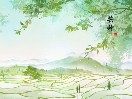 “斗指巳，为芒种”——芒种节气的由来及文化风俗（芒种美好寓意图片）