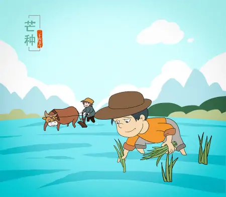 今年芒种不一般，老话说：“芒种节气有三怕”，到底怕什么？（芒种节气适合吃什么食物）