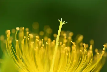 今年芒种不一般，老话说：“芒种节气有三怕”，到底怕什么？（芒种节气适合吃什么食物）