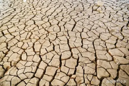 6月6日芒种，芒种当天下雨好还是天晴好？看老祖宗留下的农谚咋说（芒种的三大忌讳）