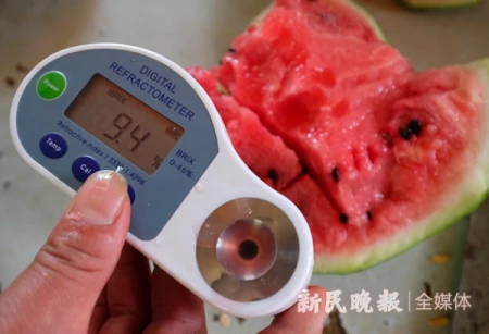 芒种｜“芒”中带甜，品尝夏日滋味（芒种秒懂）