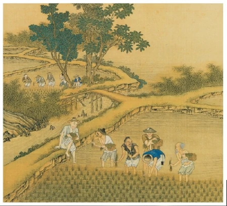 在“二十四节气”里读懂中国丨芒种：谷物之芒，生命之光（二十四节气芒种的来历）