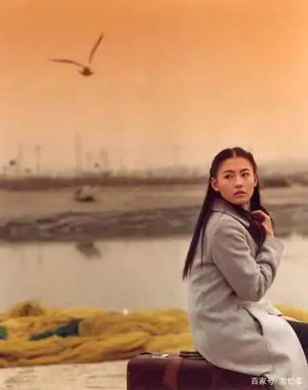 张柏芝的《白兰》：夫妻成婚许久不曾谋面，再见已是天上人间-张柏芝演的白兰电视剧