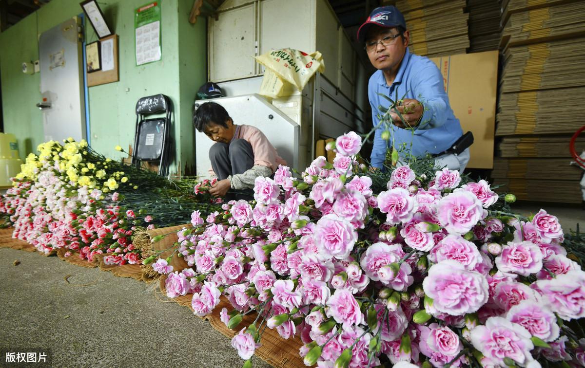 母亲节图片大全（母亲节图片手绘小学生画）