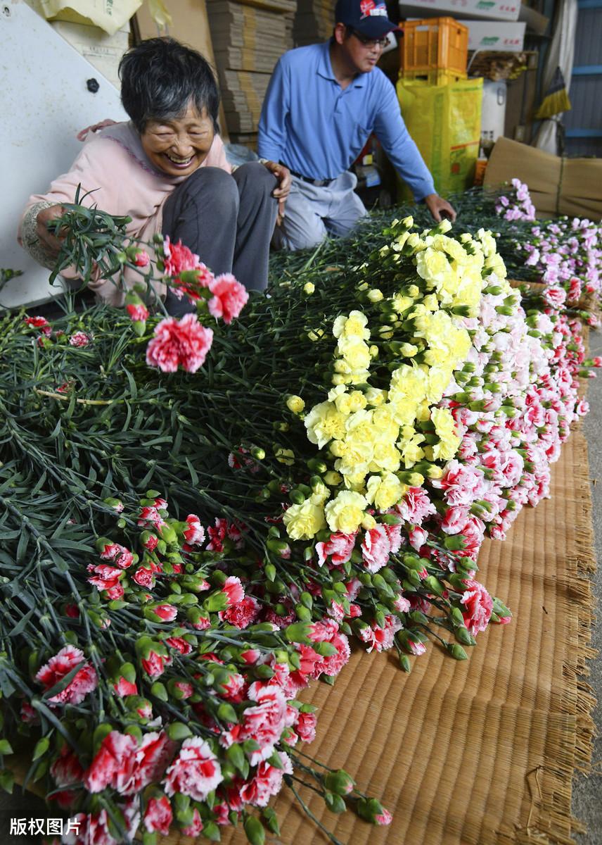 母亲节图片大全（母亲节图片手绘小学生画）